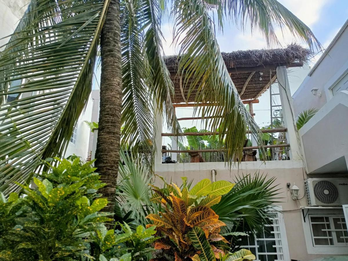 Kika Studios Playa del Carmen Exteriör bild