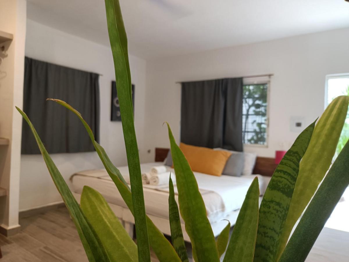 Kika Studios Playa del Carmen Exteriör bild