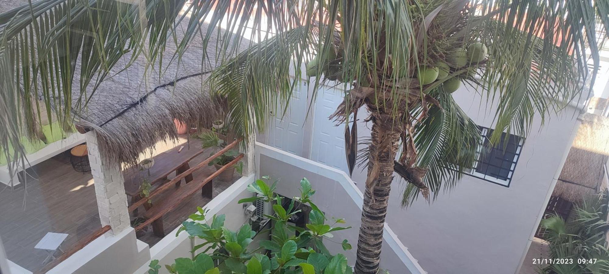 Kika Studios Playa del Carmen Exteriör bild
